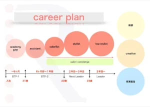 advisory_career Plan