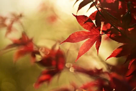 10月から変わること@REPSS田口