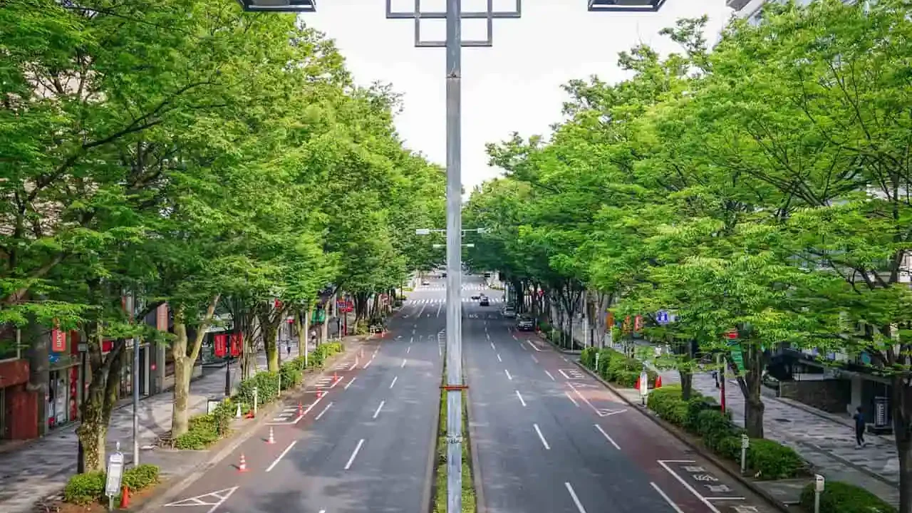 表参道周辺でオススメの美容師求人しているサロン