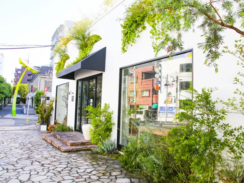 代官山周辺でオススメの美容師求人しているサロン