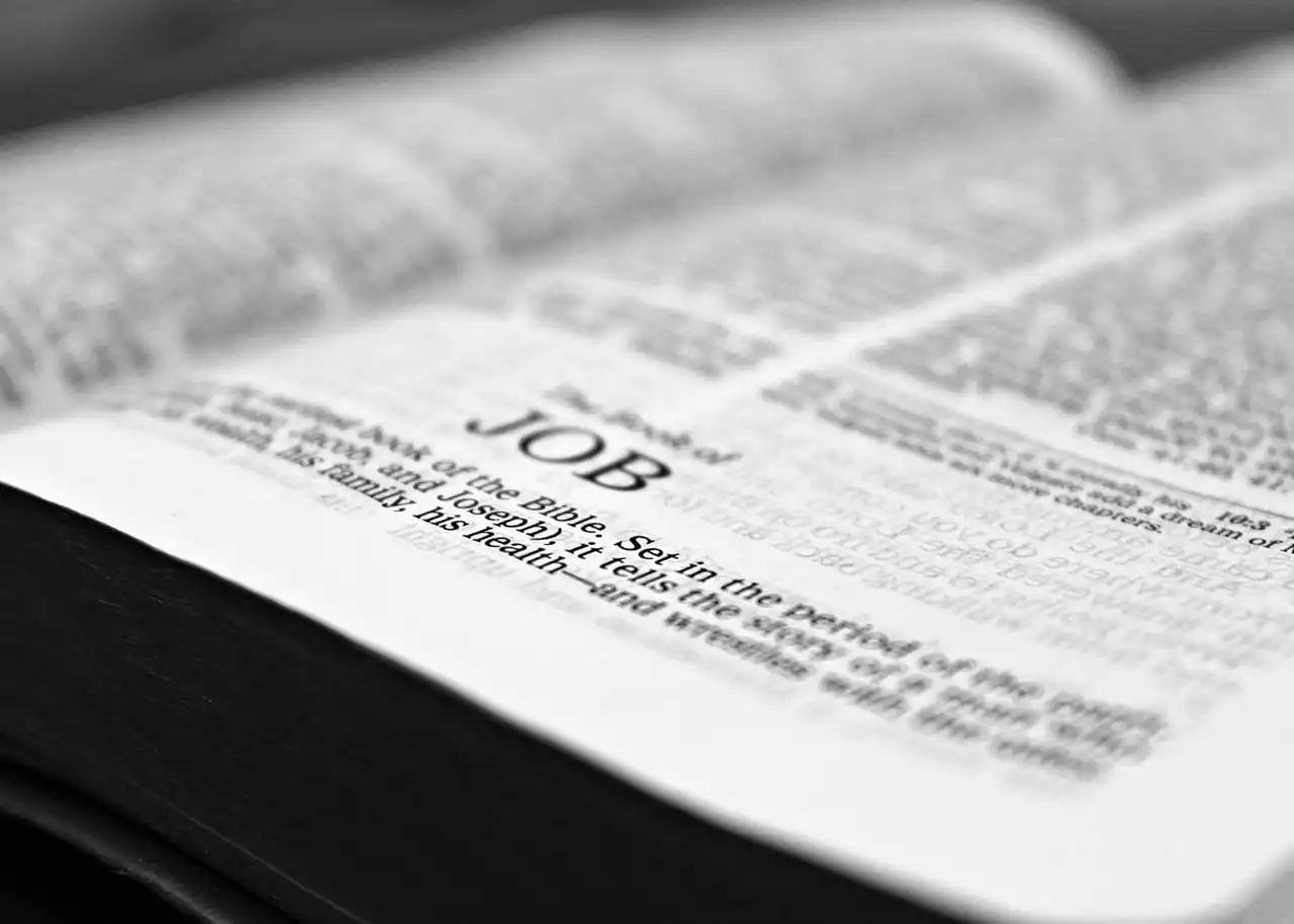 美容室経営をの強い味方！士業とはどんな職業？ | 士業とはどんな職業？