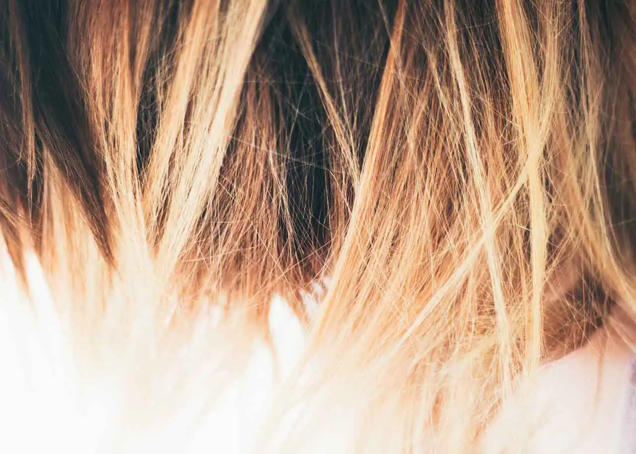 美容師と理容師の違いとは？資格から仕事内容など | 美容師法