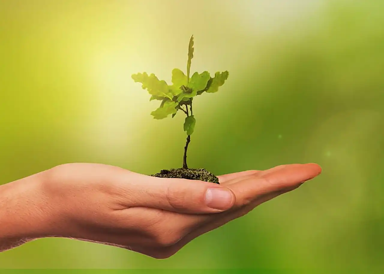 美容学生におすすめの就職活動の考え方 | どんな成長をしたいか?