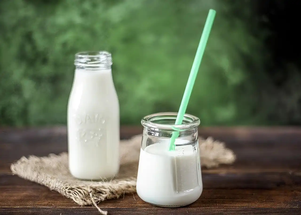 ストレスに負けるな!美容師さんにオススメの食べ物 | カルシウムが多く含まれる食材