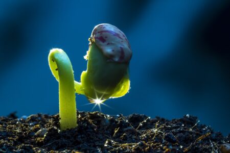 悩んだ時に@REPSS田口