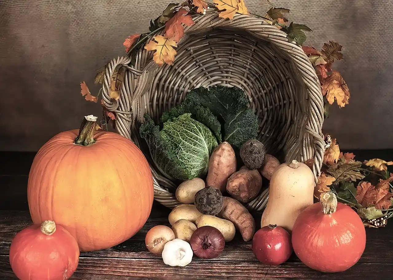 ストレスに負けるな!美容師さんにオススメの食べ物 | ビタミンEが多く含まれる食材