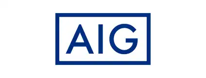 AIG損害保険(株)