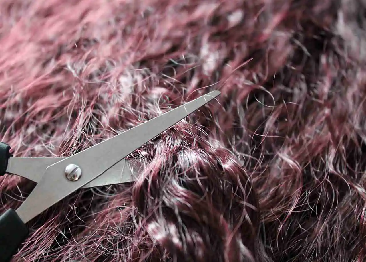 美容師が自分に合った就職先を見つける方法 | 美容師としての将来の話